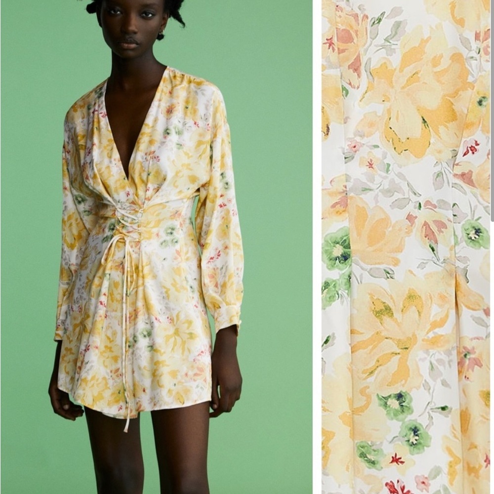Zara Floral minidress